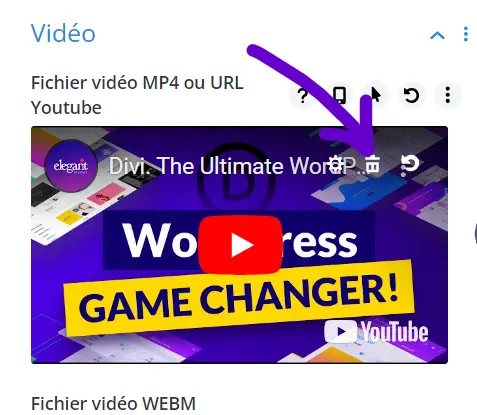 supprimer video placeholder divi